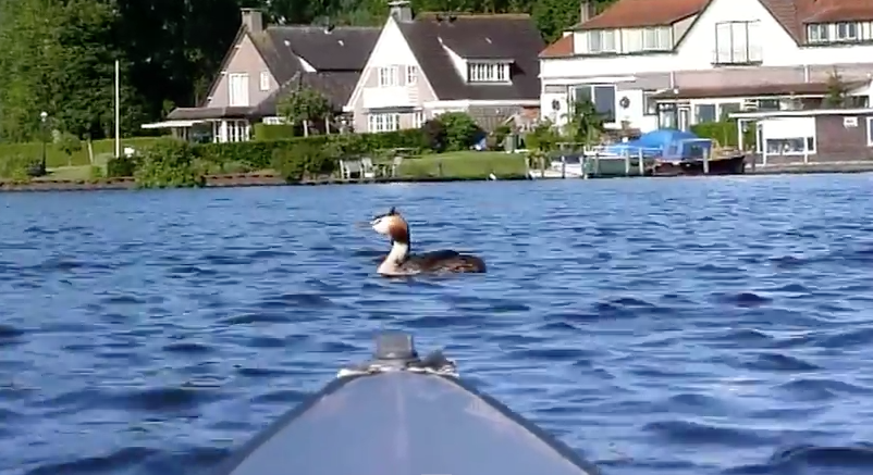 Bijzonder creatieve video