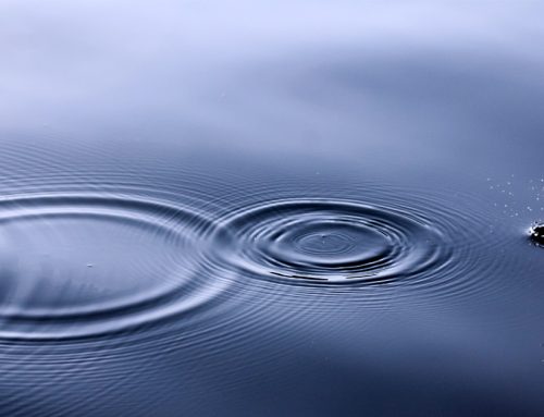 In memoriam Jannes de Vries