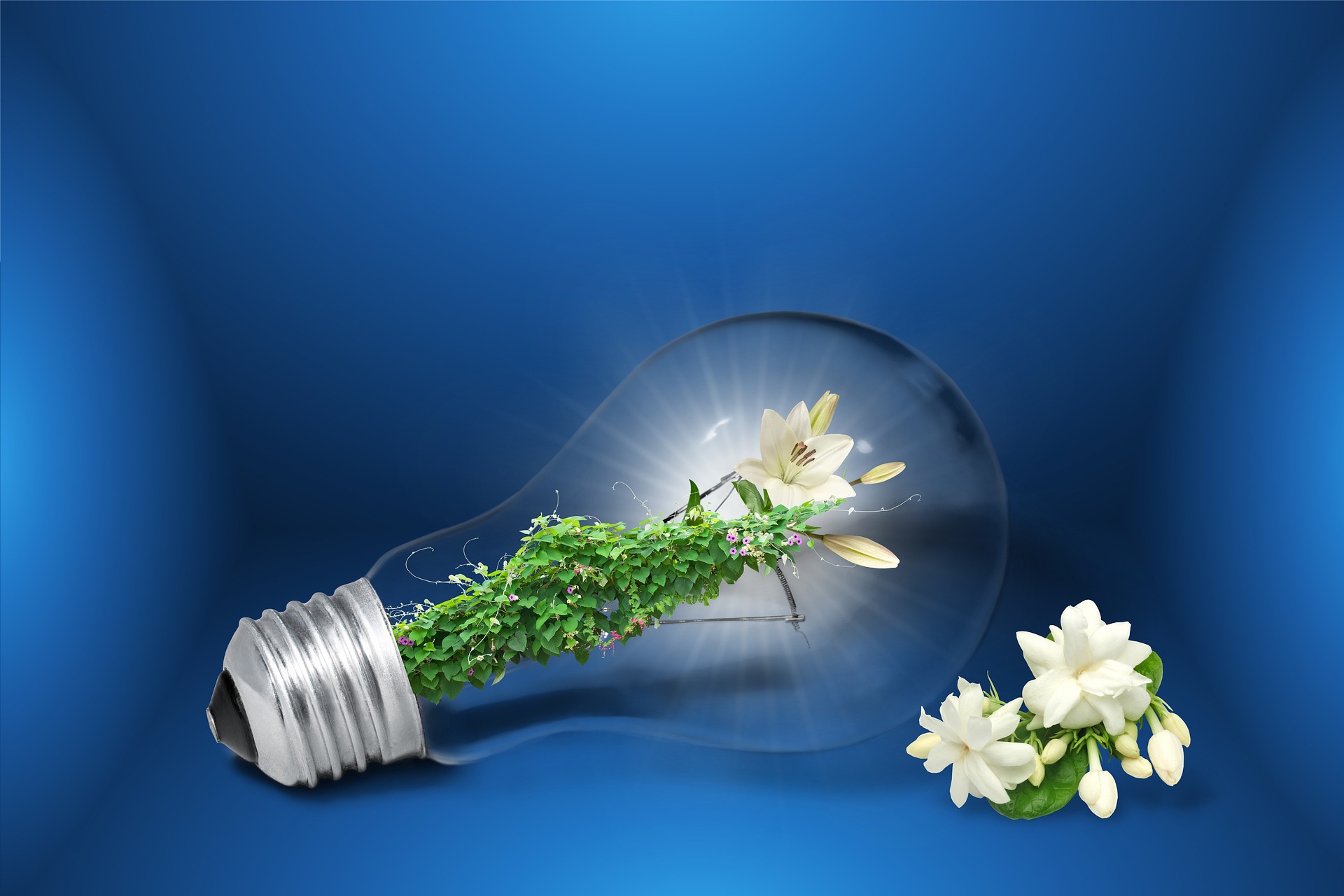 save-energy-via-pixabay-van-RosZie