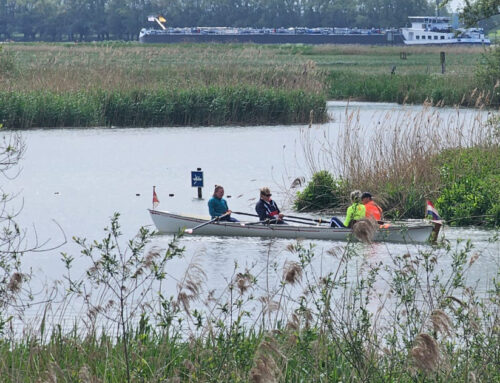 Heerlijke dag in de Biesbosch