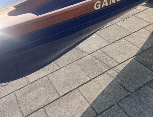 Grijp je kans, roei in de Gans!